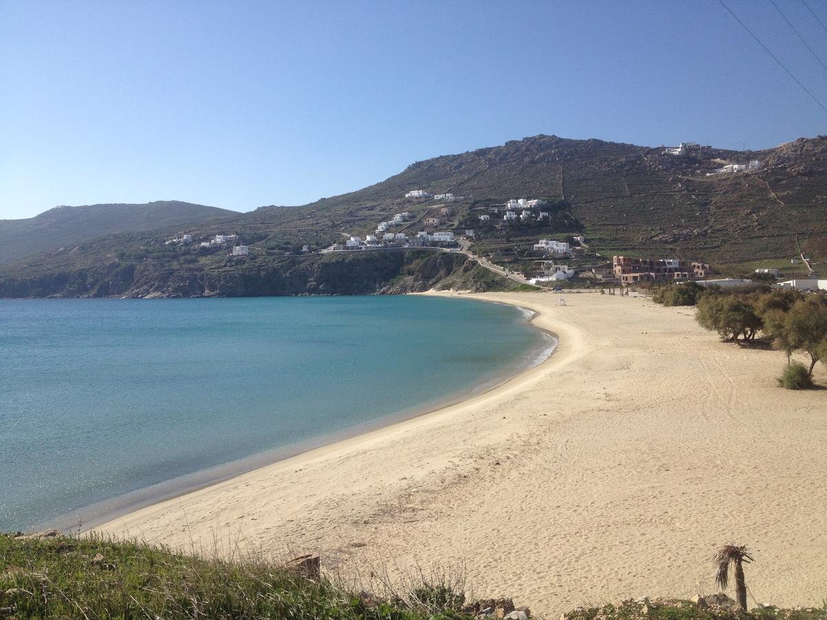 Andromeda Mykonos Villas & Suites Kalo Livadi Eksteriør bilde