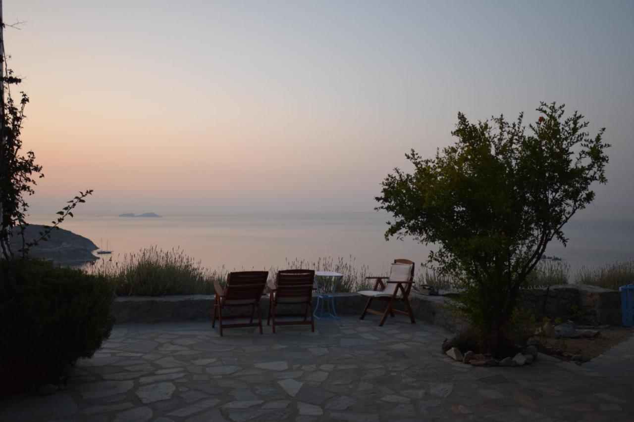 Andromeda Mykonos Villas & Suites Kalo Livadi Eksteriør bilde